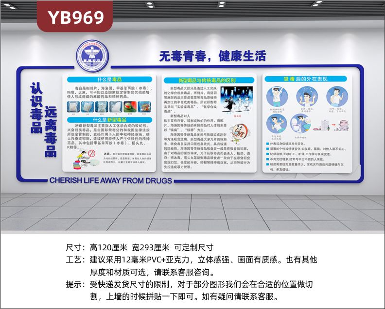 无毒青春健康生活中国国家禁毒委员会立体标语宣传墙贴吸毒后表现展示墙