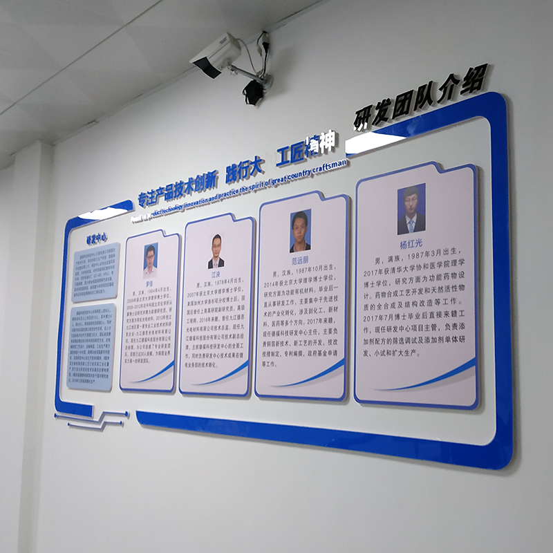 研发团队文化墙PVC+亚克力材质