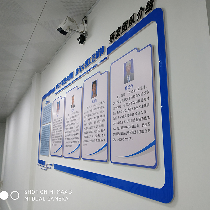 研发团队文化墙PVC+亚克力材质