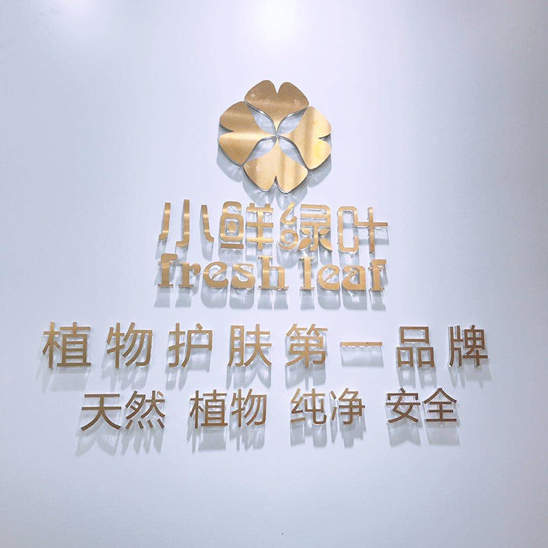 2+2拉丝金亚克力水晶字3D立体实物上墙效果图