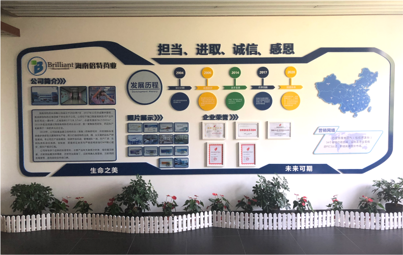 12MM厚度的PVC免漆板3D立体雕刻企业简介发展历程文化墙