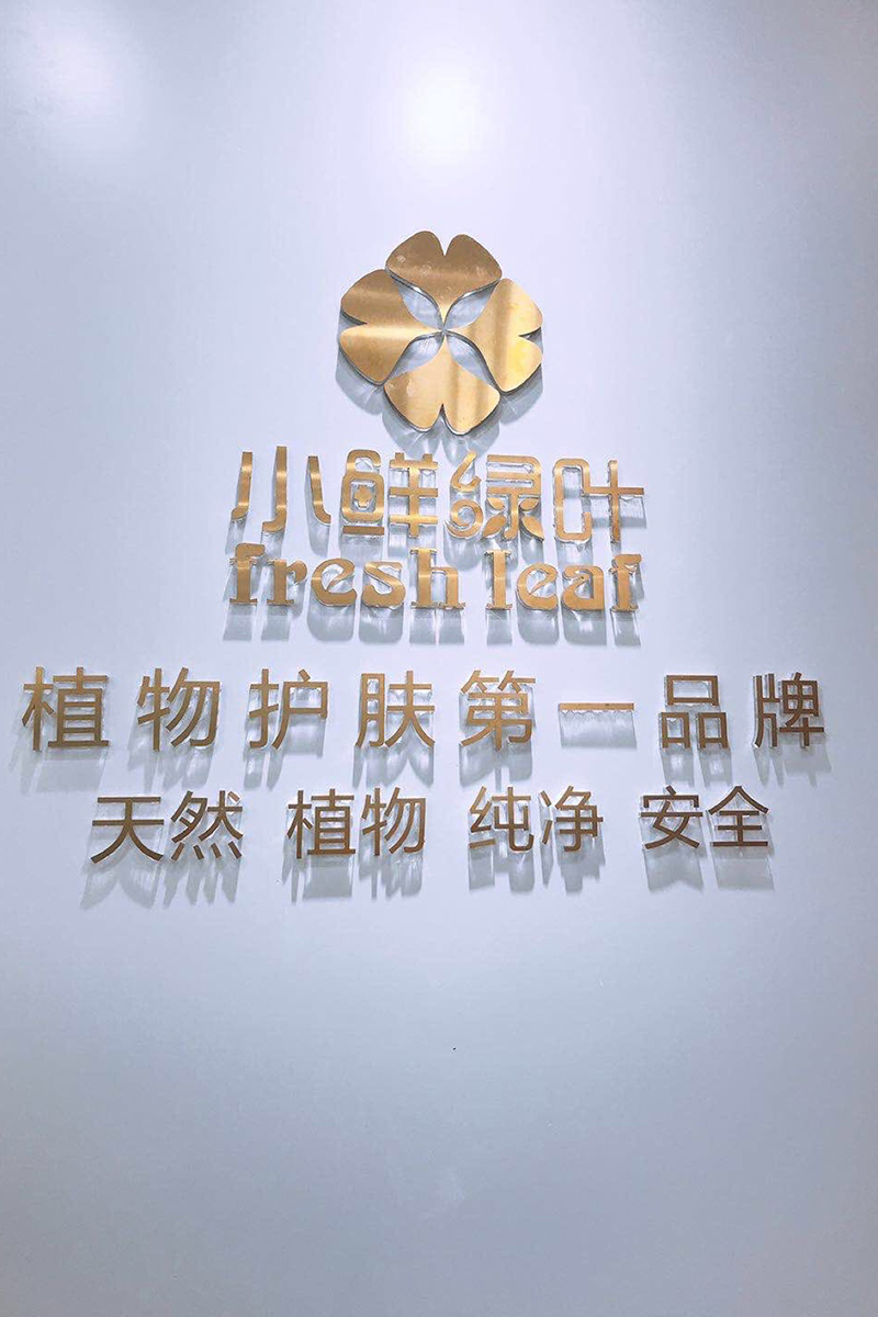 2+6亚克力水晶字拉丝金正面实物上墙展示图