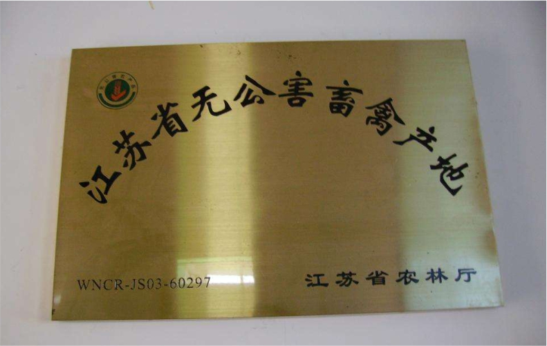 拉丝金不锈刚门牌折边实物上墙效果展示                             
