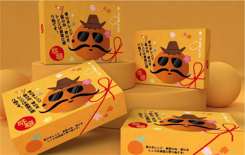 包装定制通用鲜橙包装橙子脐橙赣南脐橙爱媛礼盒水果包装盒